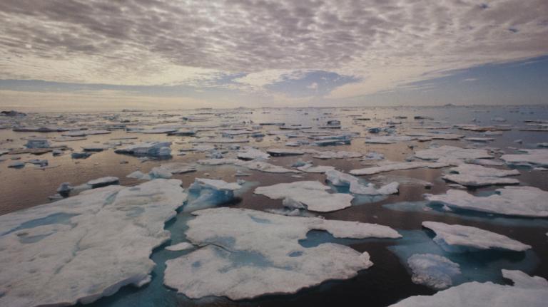 Pack ice along the east coast of Greenland.