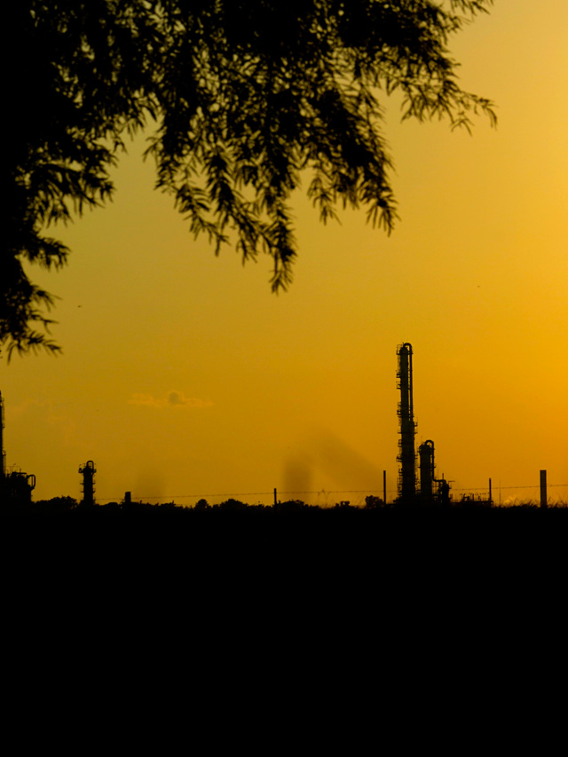 Grist -- This week in good news