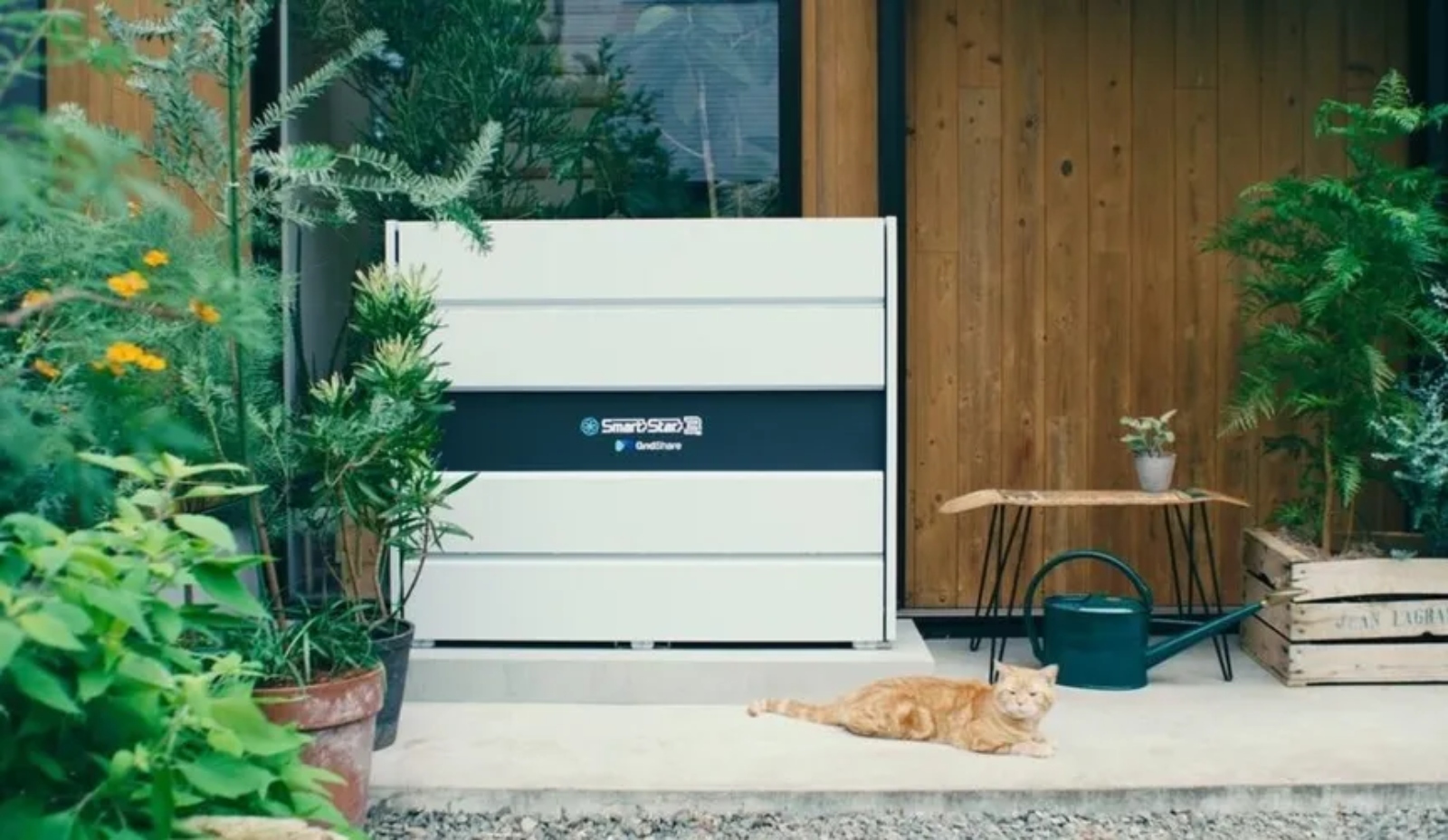 A peach-colored tabby cat lies in front of a white box on a doorstep.