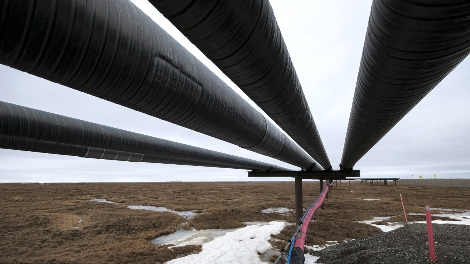 Oil pipelines stretch across the landscape outside Nuiqsut, Alaska.