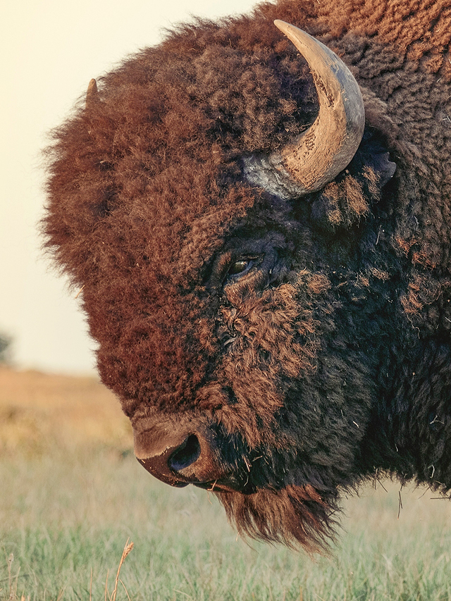 This week in good climate news