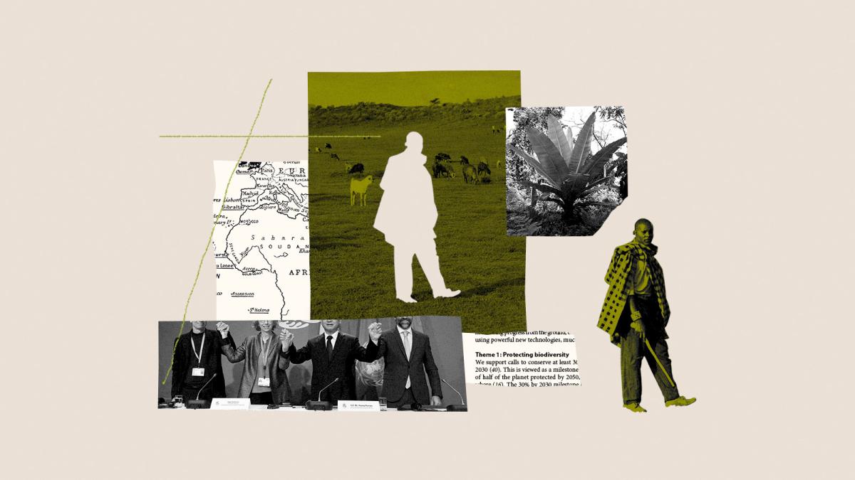 Collage featuring map of Africa, excerpt from "A Global Deal For Nature," photo of African plantlife, photo of leaders at COP 15, and a photo of Kenyan farmland with a Masai man removed from the center