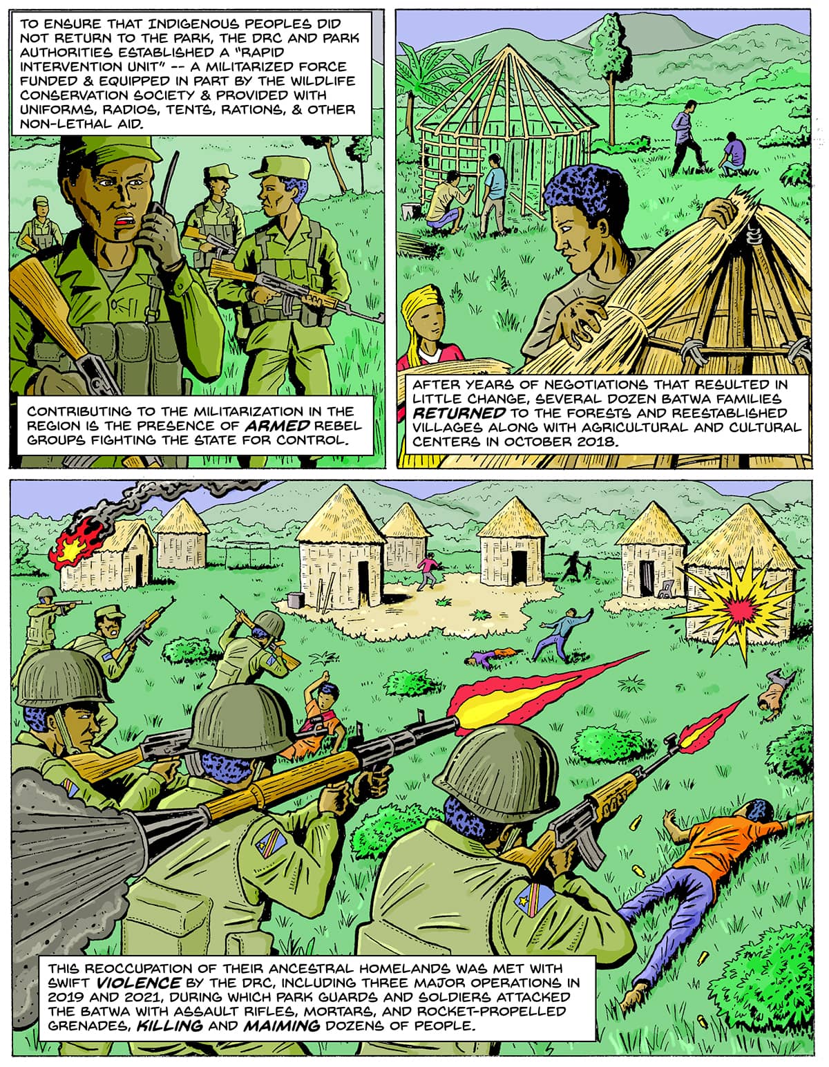 A three-panel illustration. Top left: Men in green uniforms holding guns talk on a walkee-talkee. Top right: People build huts out of stick and yellow straw-like material. Bottom: Men with guns fire at the village. Text: To ensure that Indigenous peoples did not return to the park, the DRC and park authorities established a “rapid intervention unit” — a militarized force funded and equipped in part by the Wildlife Conservation Society and provided with uniforms, radios, tents, rations, and other non-lethal aid. Contributing to the militarization in the region is the presence of armed rebel groups fighting the state for control. After years of negotiations that resulted in little change, several dozen Batwa families returned to the forests and reestablished villages along with agricultural and cultural centers in October 2018. This reoccupation of their ancestral homelands was met with swift violence by the DRC, including three major operations in 2019 and 2021, during which park guards and soldiers attacked the Batwa with assault rifles, mortars, and rocket-propelled grenades, killing and maiming dozens of people.