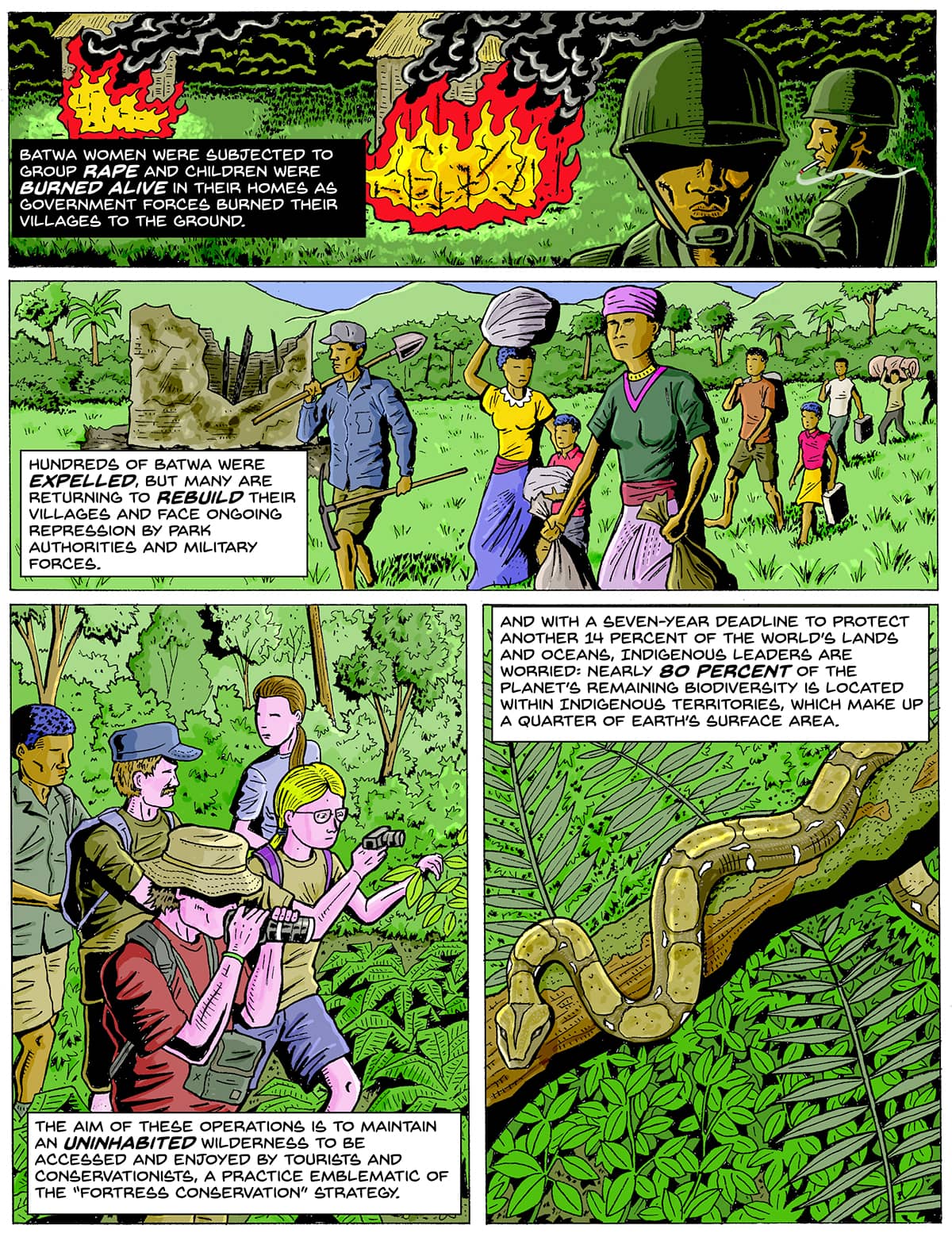 A four-panel comic. Top: Men in military green helmets walk amongst flaming structures. Middle: Men, women, and children in civilian dress walk through a field carrying baskets and sacks. Bottom left: People in t-shirts and bucket hats walk through the jungle. Bottom right: a green striped snake crawls along a branch. Text: Batwa women were subjected to group rape and children were burned alive in their homes as government forces burned their villages to the ground. Hundreds of Batwa were expelled, but many are returning to rebuild their villages and face ongoing repression by park authorities and military forces. The aim of these operations is to maintain an uninhabited wilderness to be accessed and enjoyed by tourists and conservationists, a practice emblematic of the “fortress conservation” strategy. And with a seven-year deadline to protect another 14 percent of the world’s lands and oceans, Indigenous leaders are worried: Nearly 80 percent of the planet’s remaining biodiversity is located within Indigenous territories, which make up a quarter of Earth’s surface area.