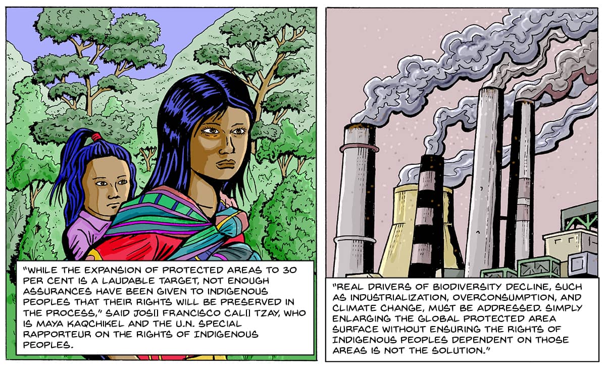 A double-panel of comics. Left: A woman walks with a child on her back. Right: Smoking chimneys from a factory. Text: “While the expansion of protected areas to 30 per cent is a laudable target, not enough assurances have been given so far to indigenous peoples that their rights will be preserved in the process,” said José Francisco Calí Tzay, who is Maya Kaqchikel and the U.N. Special Rapporteur on the rights of Indigenous peoples. “Real drivers of biodiversity decline, such as industrialization, overconsumption, and climate change, must be addressed. Simply enlarging the global protected area surface without ensuring the rights of indigenous peoples dependent on those areas is not the solution.”