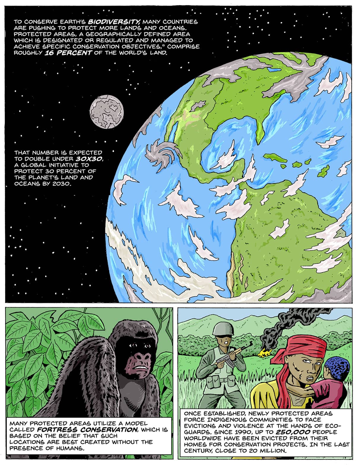 A trip-panel comic. Top panel: an illustration of the earth zoomed out also show the moon. The bottom two panels: A gorilla in the jungle; a woman holding a child looking at a soldier while a house burns in the background. Text: Fortress Conservation: A Legacy of Violence To conserve Earth’s biodiversity, many countries are pushing to protect more lands and oceans. Protected areas, a “geographically defined area which is designated or regulated and managed to achieve specific conservation objectives,” comprise roughly 16 percent of the world’s land. That number is expected to double under 30X30, a global initiative to protect 30 percent of the planet’s land and oceans by 2030. Many protected areas utilize a model called fortress conservation, which is based on the belief that such locations are best created without the presence of humans. Once established, newly protected areas force Indigenous communities to face evictions and violence at the hands of eco-guards. Since 1990, up to 250,000 people worldwide have been evicted from their homes for conservation projects. In the last century, close to 20 million.