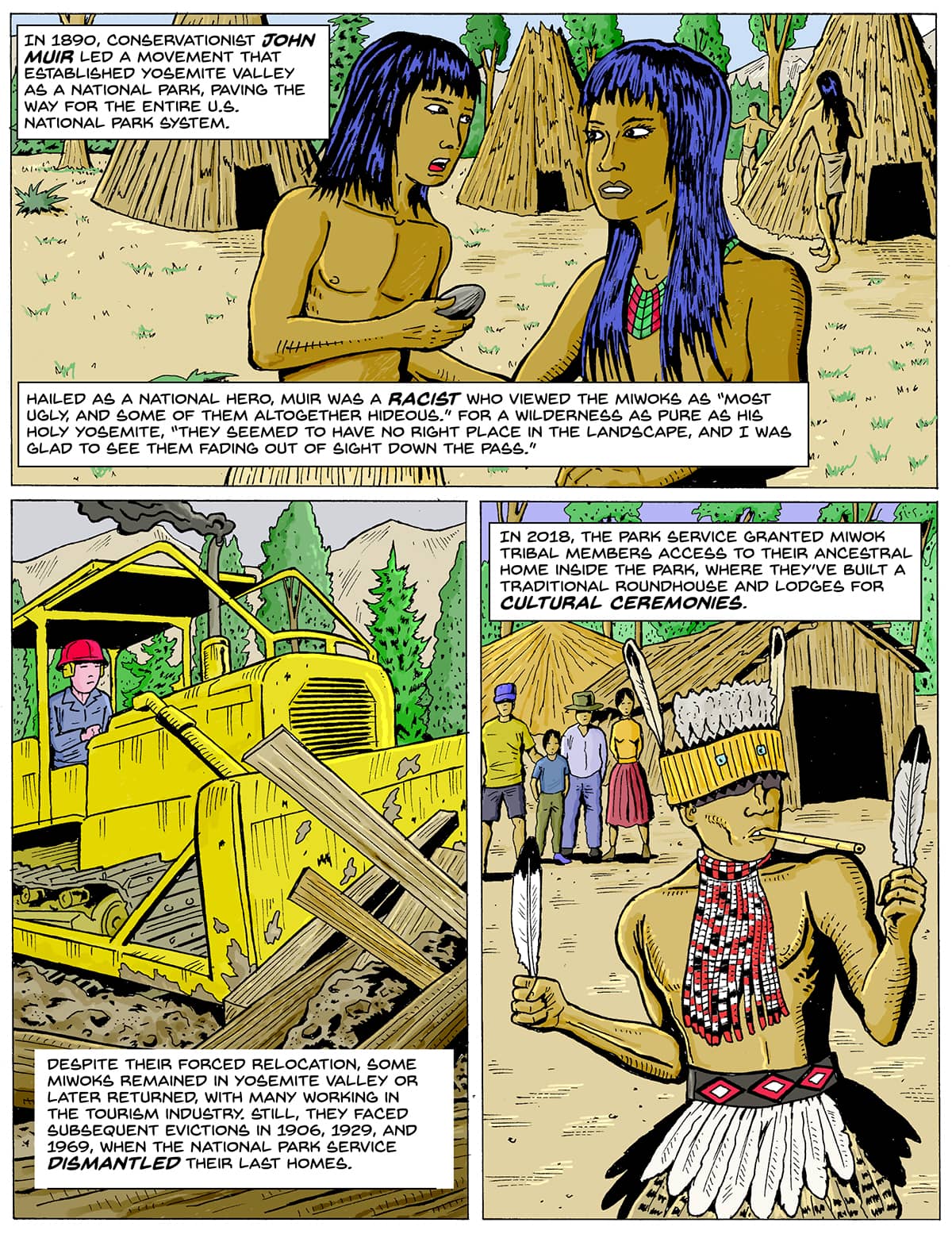 A tri-panel of comics: Top: A Native man and woman talk in front of a line of teepees. Bottom: a yellow bulldozer pushes into a bunch of wood near a line of trees. Bottom right: A man in an elaborate headdress holds feathers in each hand standing in front of a small group of people. Text: In 1890, conservationist John Muir led a movement that established Yosemite Valley as a national park, paving the way for the entire U.S. national park system. Hailed as a national hero, Muir was a racist who viewed the Miwoks as “most ugly, and some of them altogether hideous.” For a wilderness as pure as his holy Yosemite, “they seemed to have no right place in the landscape, and I was glad to see them fading out of sight down the pass.” Despite their forced relocation, some Miwoks remained in Yosemite Valley or later returned, with many working in the tourism industry. Still, they faced subsequent evictions in 1906, 1929, and 1969, when the National Park Service dismantled their last homes. In 2018, the park service granted Miwok tribal members access to their ancestral home inside the park, where they’ve built a traditional roundhouse and lodges for cultural ceremonies.