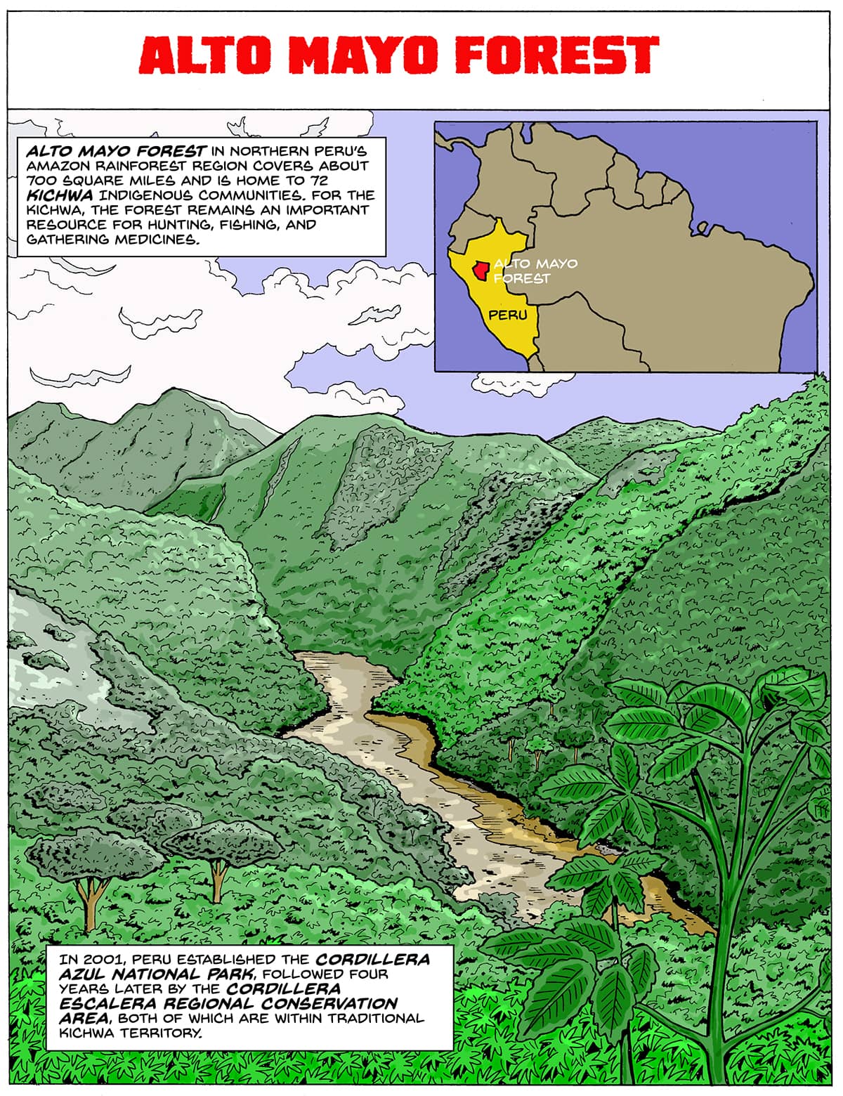 A comic with the title "Alto Mayo Forest" The main part of the panel shows a lush green jungle with mountains and a dirt path running through the middle. The top right has a zoom in of the top of South America to show the location of the Alto Mayo forest. Text: Alto Mayo forest in Northern Peru’s Amazon rainforest region covers about 700 square miles and is home to 72 Kichwa Indigenous communities. For the Kichwa, the forest remains an important resource for hunting, fishing, and gathering medicines. In 2001, Peru established the Cordillera Azul National Park, followed four years later by the Cordillera Escalera Regional Conservation Area, both of which are within traditional Kichwa territory.