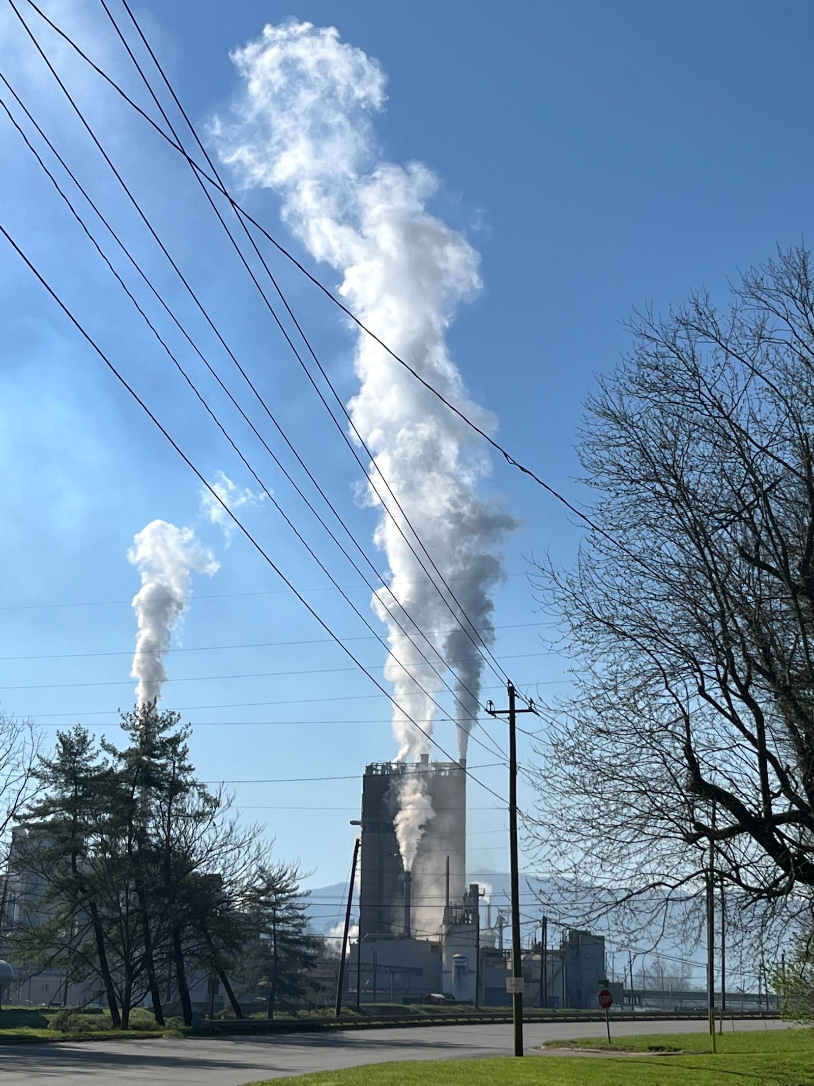 Large plumes of white smoke rise from the stacks to fill a blue sky above the paper mill in Canton, North Carolina.