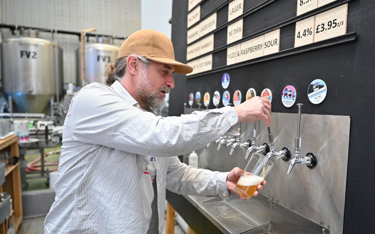 A brewery worker pours a pint of beer from a tap.