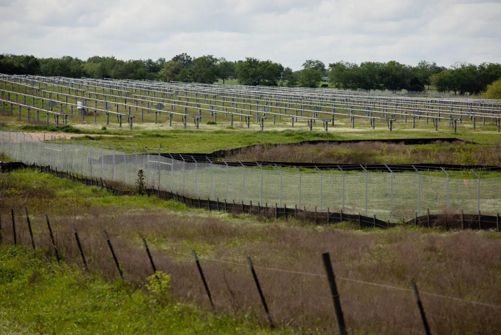 A green and muddy field filled with solar panels.