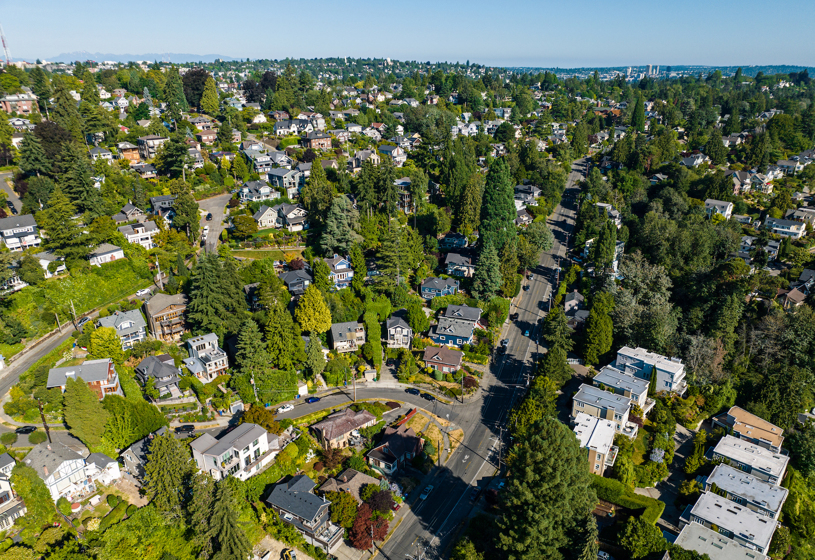 Aerial view of a tree-filled neighborhood