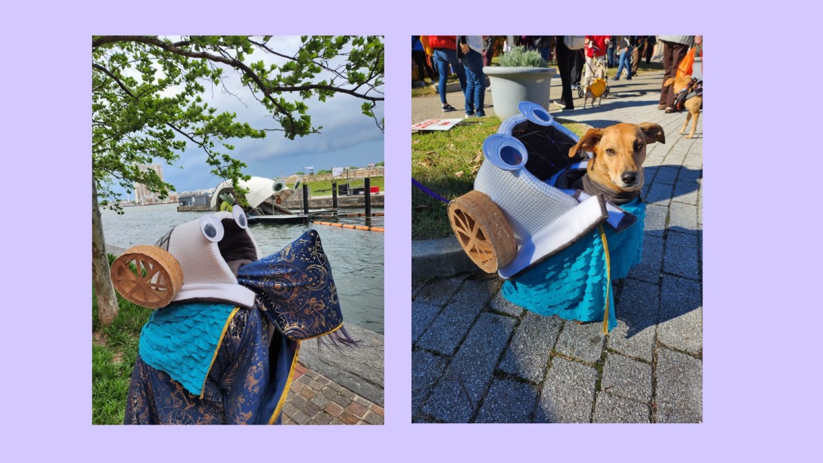 Side-by-side photos of a woman wearing a patterned robe with a backpack resembling the googly-eyed trash wheel; and next to her, a photo of a small tan-colored dog wearing the same backpack as a costume.