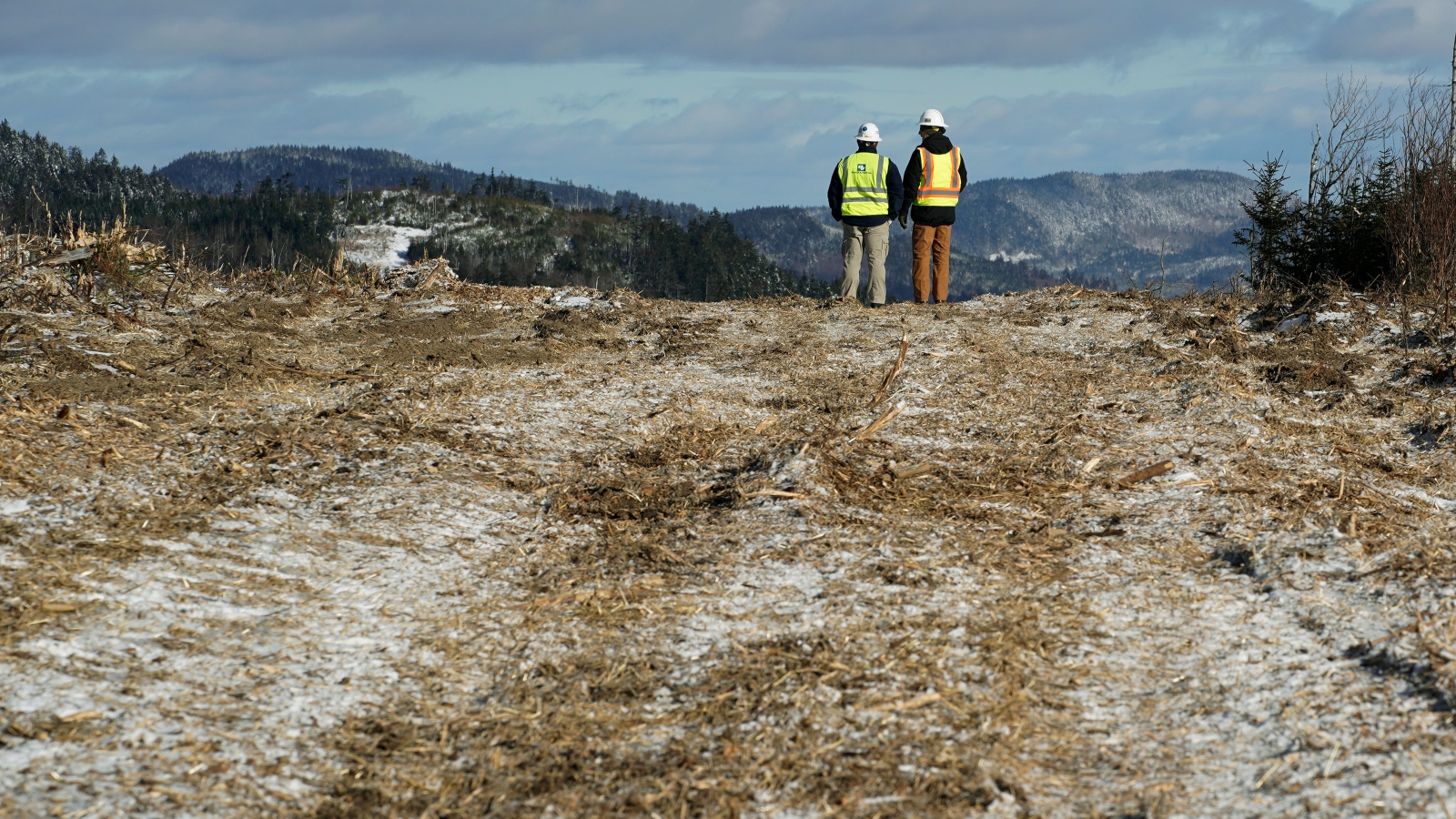 Two workers survey land cleared for the New England Clean Energy Connect transmission line, which will run from Quebec through Maine.
