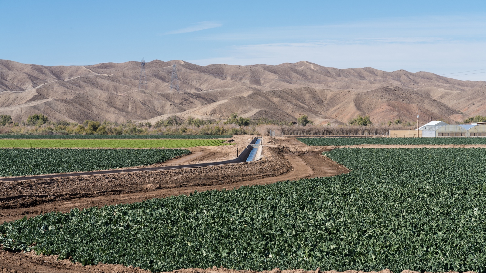 An irrigation canal carries water from the Colorado River to irrigate a farm growing leaf lettuce and broccoli near Yuma, Arizona.
