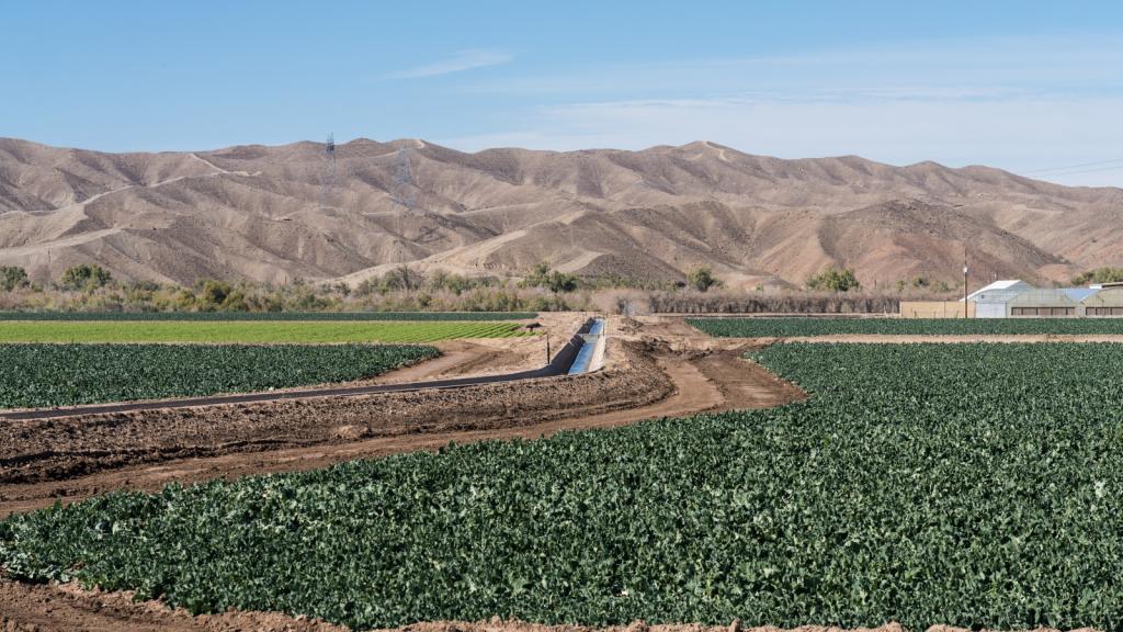 An irrigation canal carries water from the Colorado River to irrigate a farm growing leaf lettuce and broccoli near Yuma, Arizona.