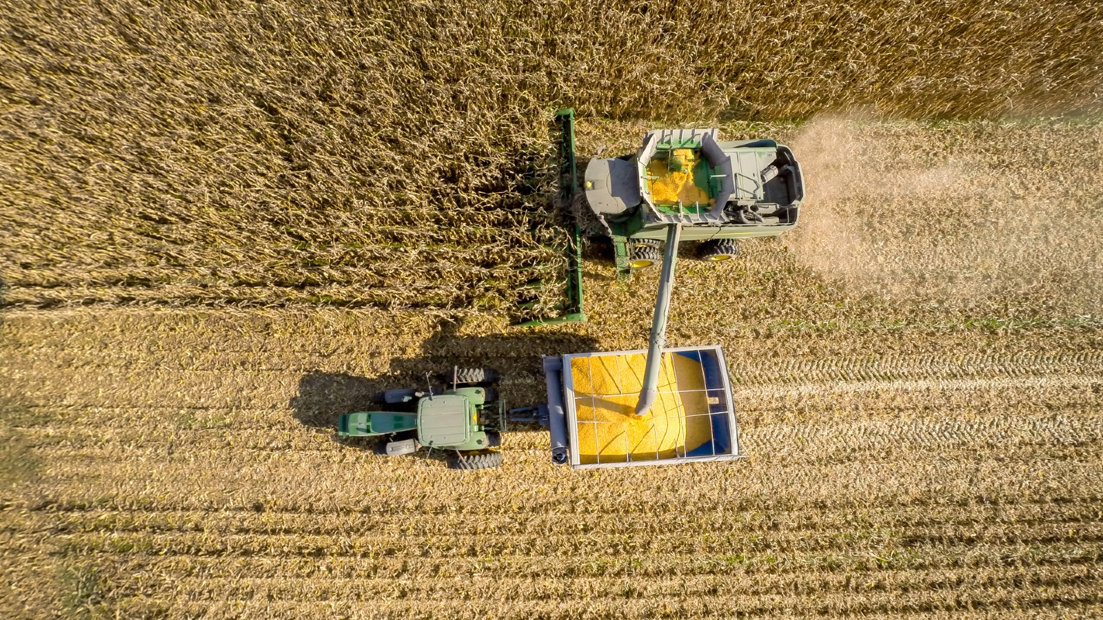A combine clears a discipline of corn in Maryland as viewed from above