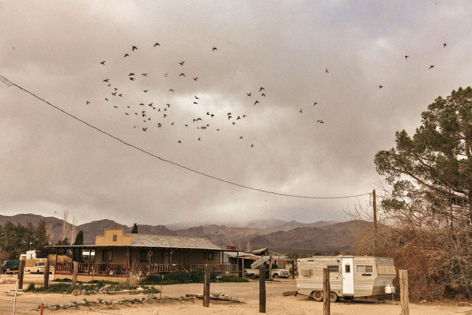 a flock of birds flies over a power line to a house with an RV outside
