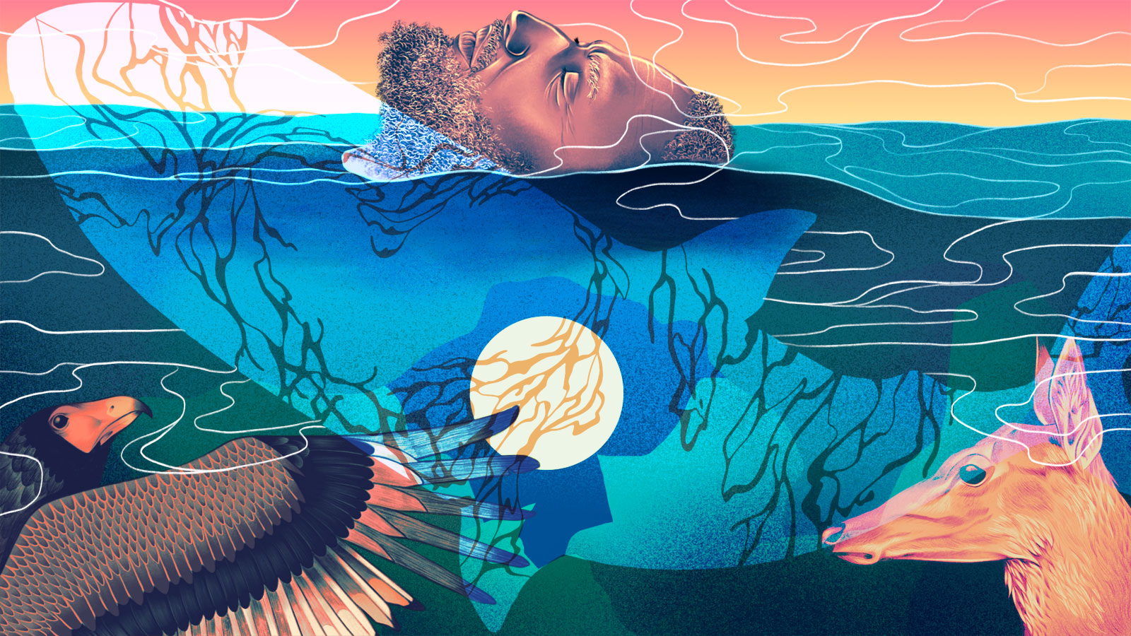 Illustration with vibrant colors depicting images of a human, a Greenland shark, a doe, and an eagle, connected by water