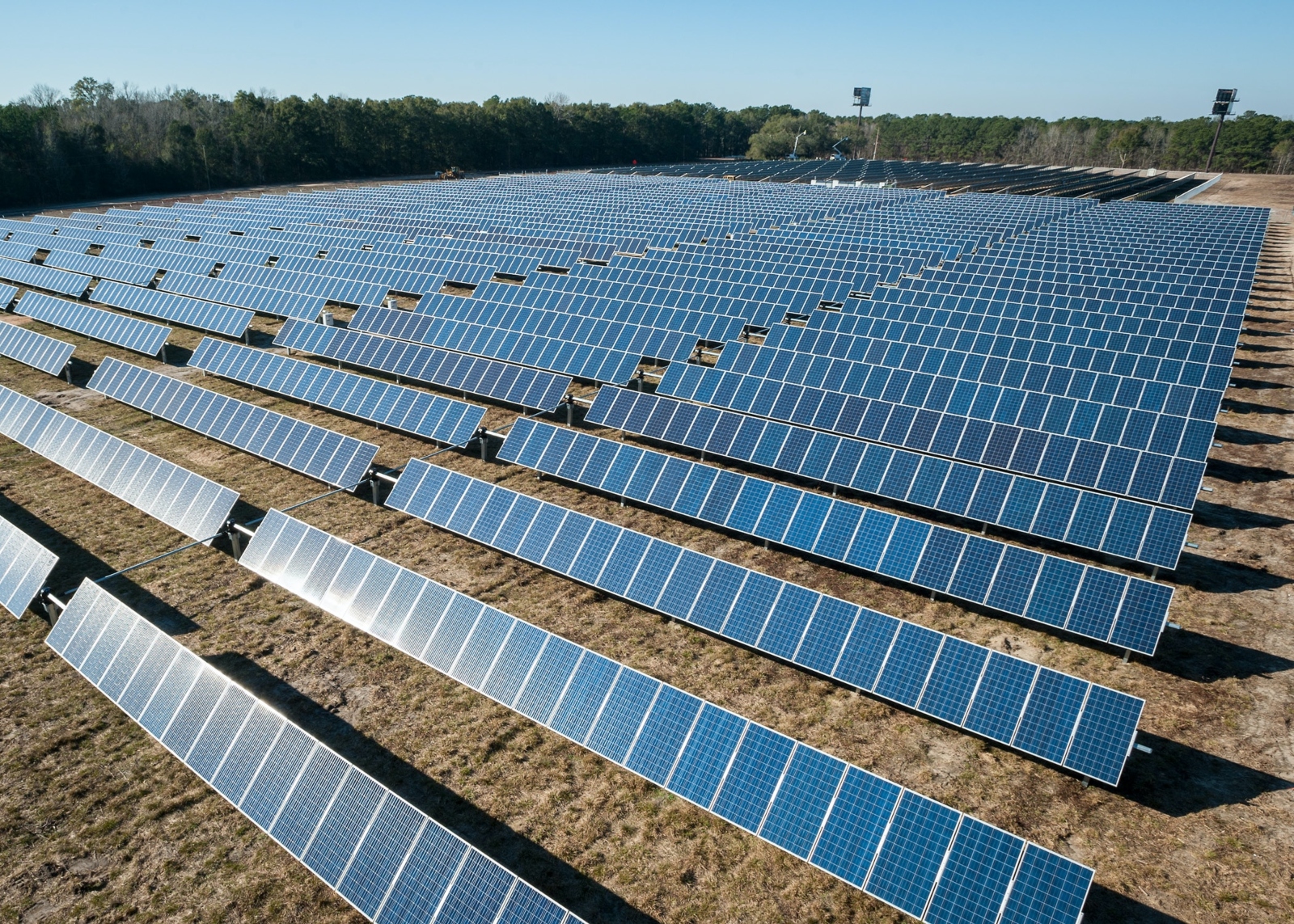 A field of black solar panels stretches to the edge of a forest.