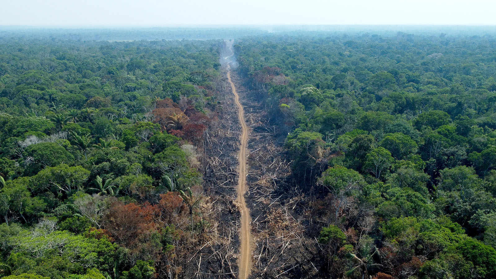 A road cuts through the Amazon rainforest