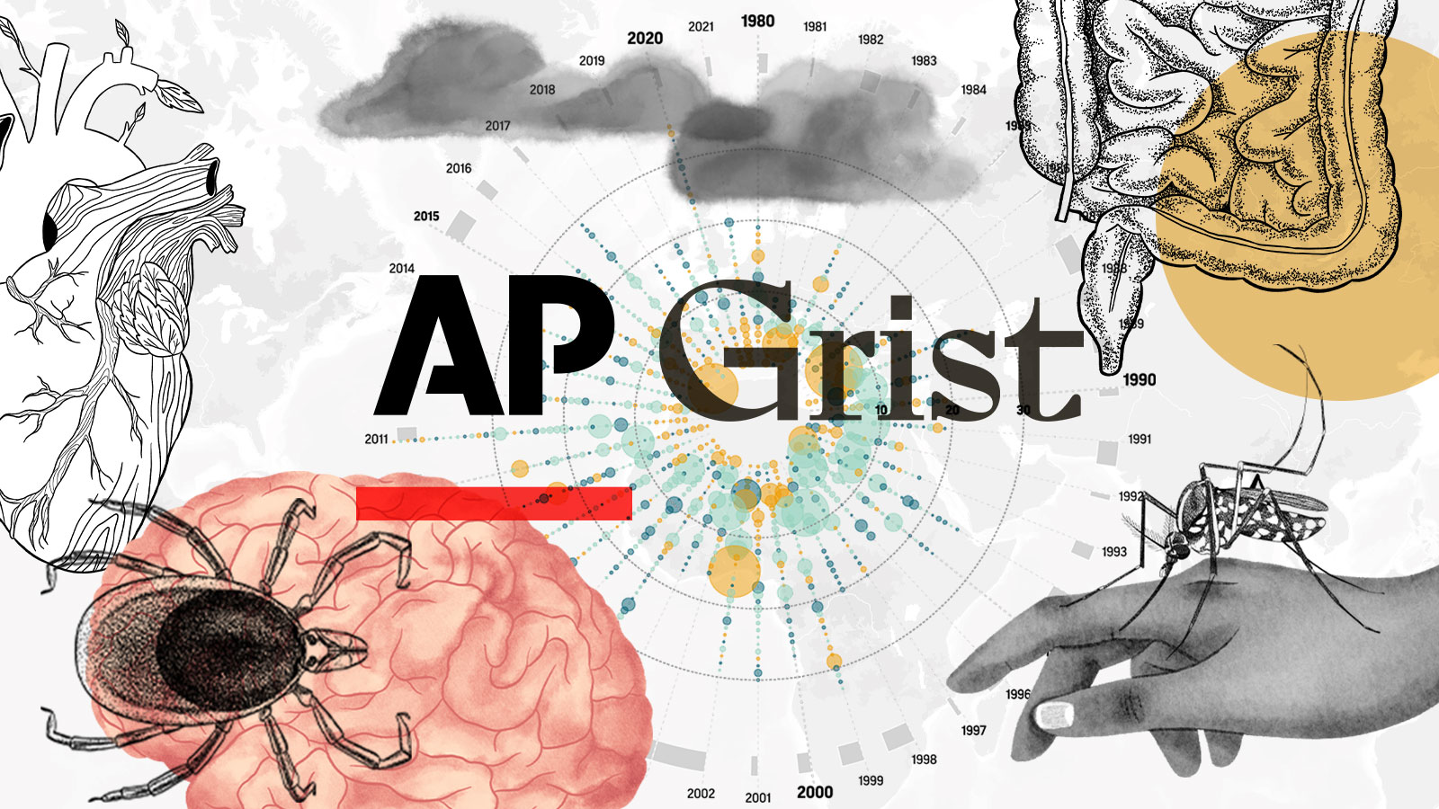 A graphic of a hand and a brain that says AP and Grist.