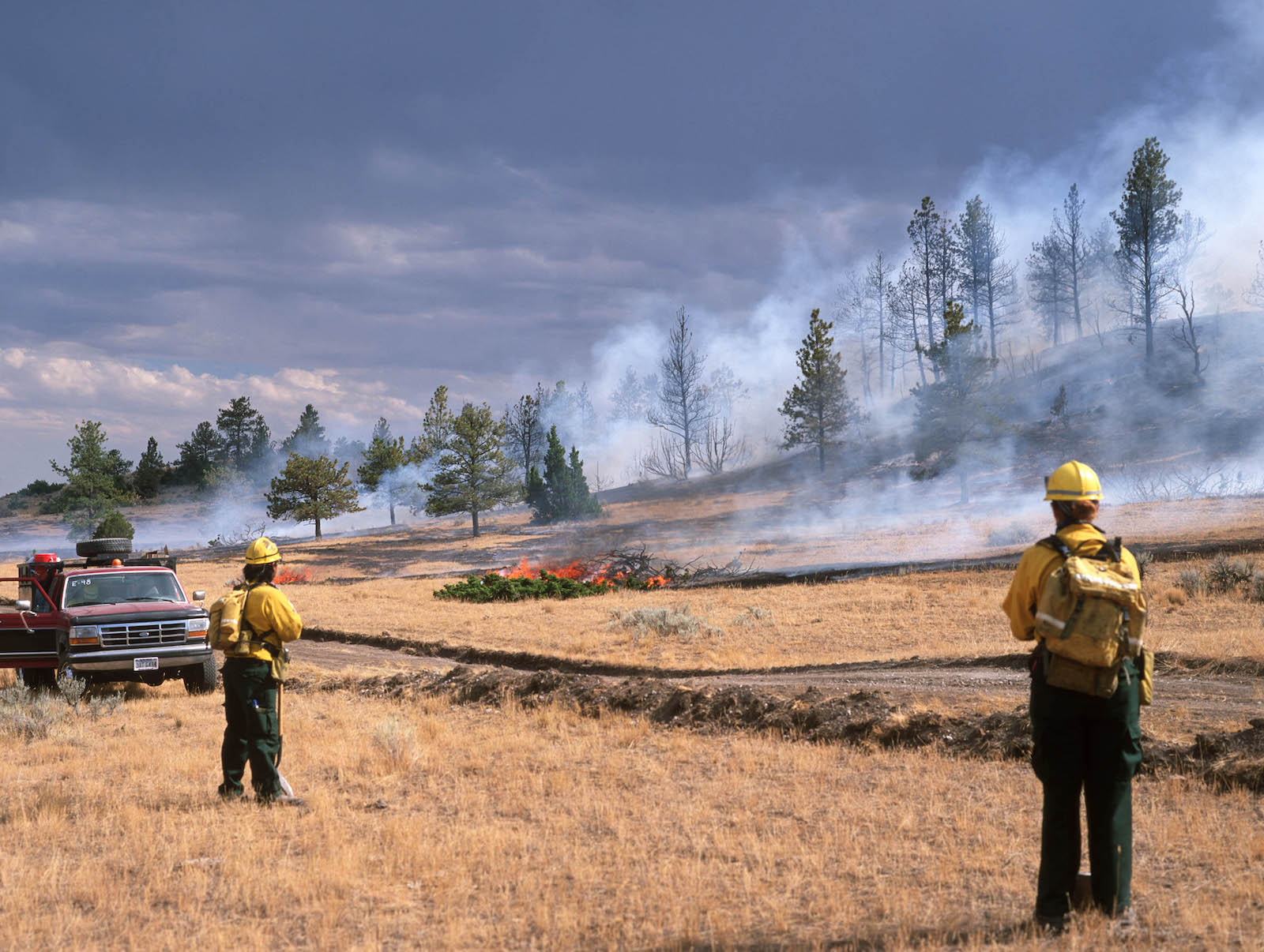 smoke billows out of trees near a dry yellow field as firefighters spray water