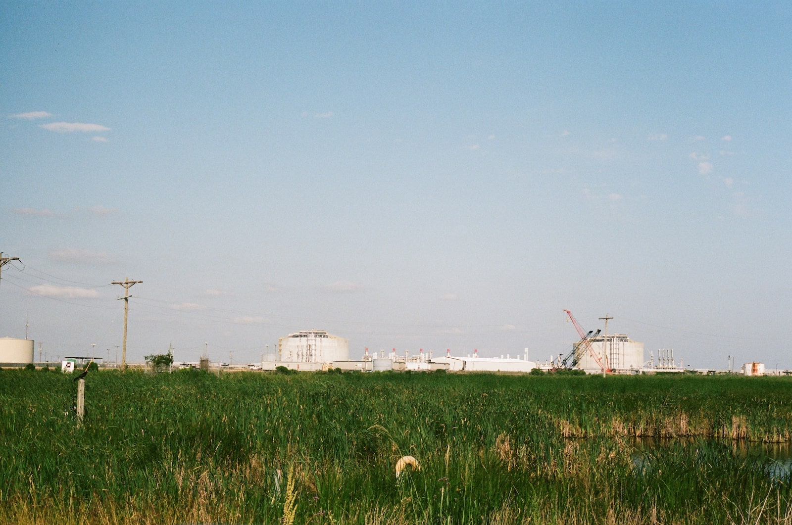 grass near LNG terminal