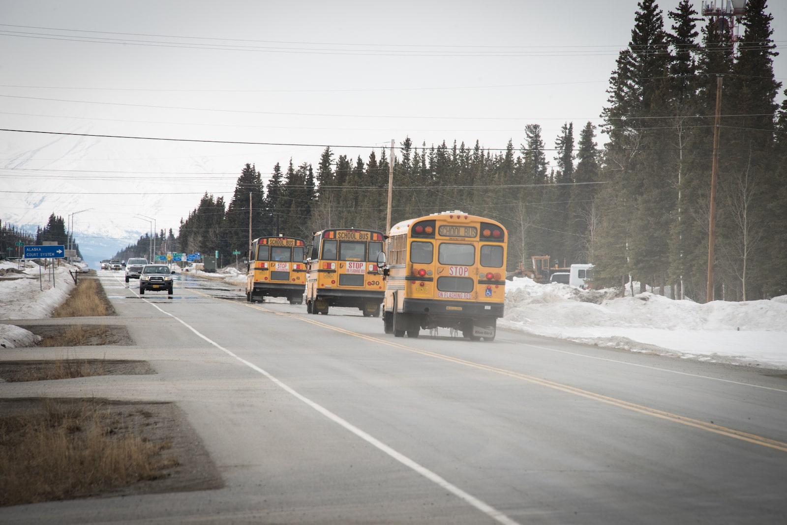 three schoolbuses on a snowy road