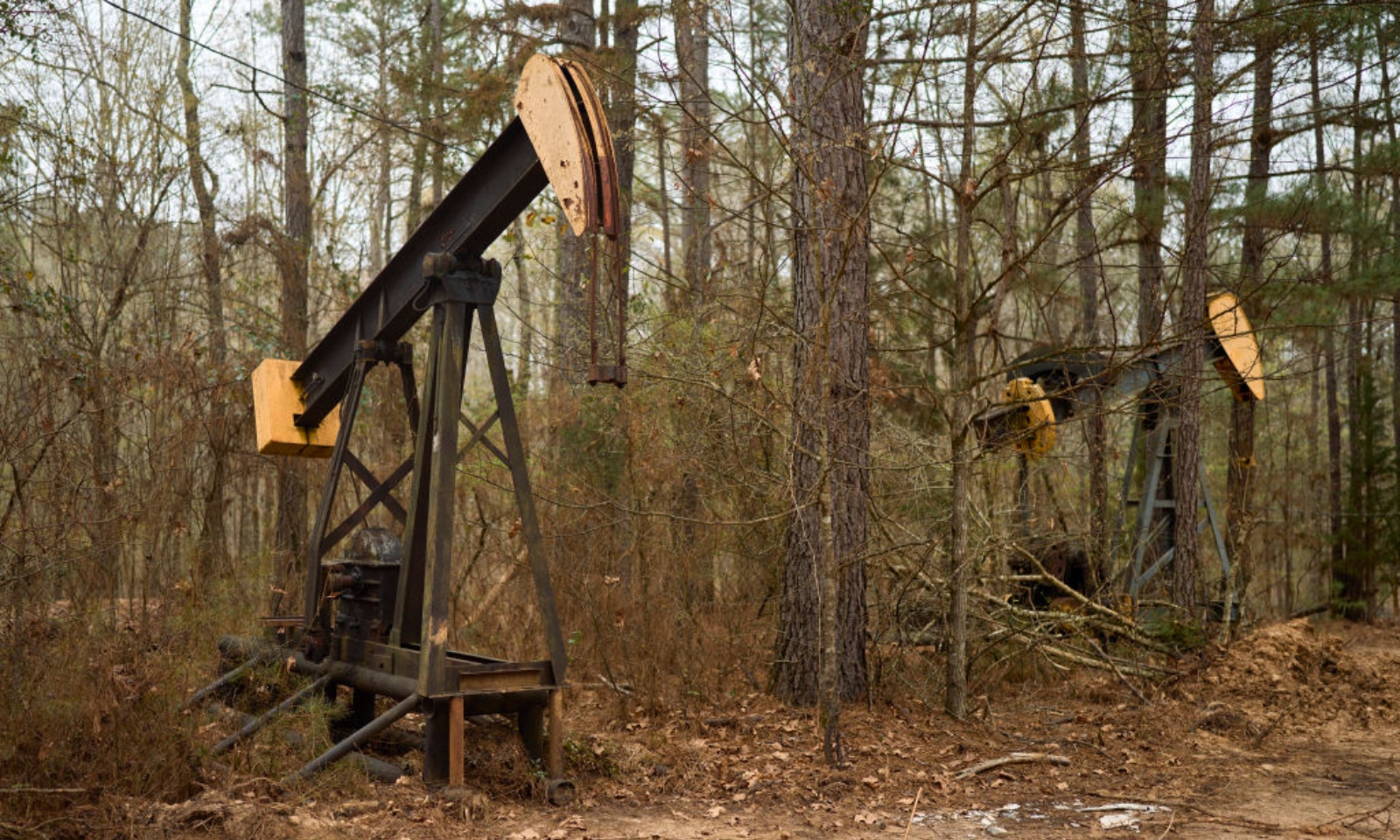 Abandoned wells in a forest in Louisiana