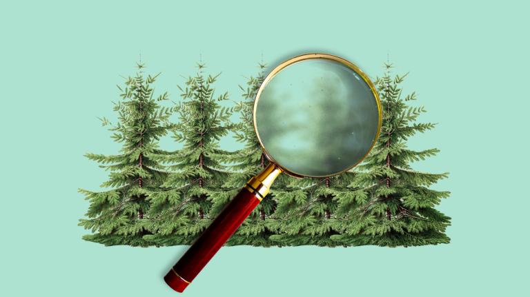 A magnifying glass held over trees; the trees through the glass are blurry