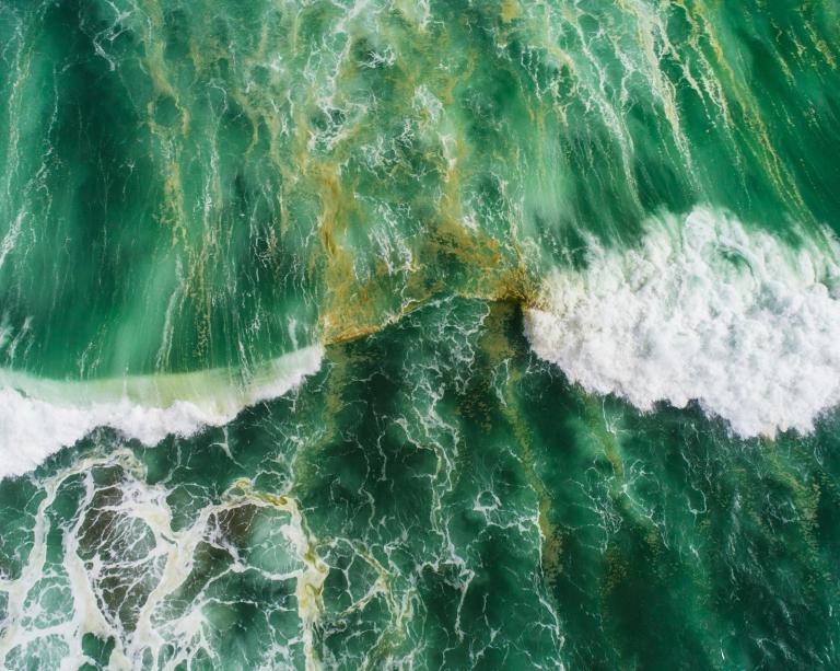 green and brown water