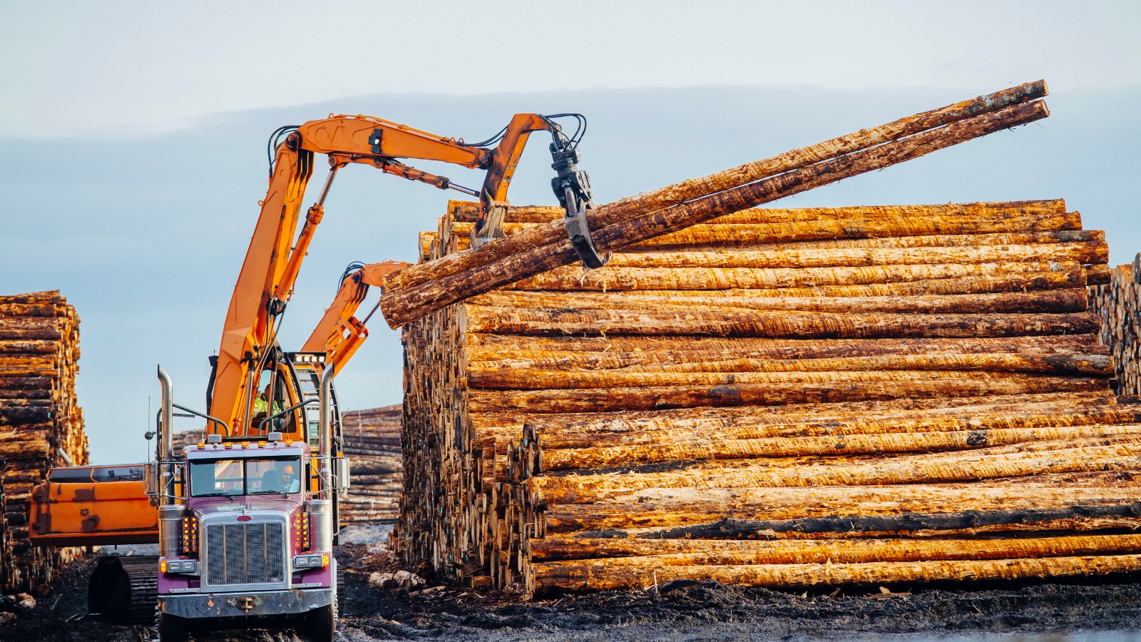 A big machine lifts logs from a stack of raw timber