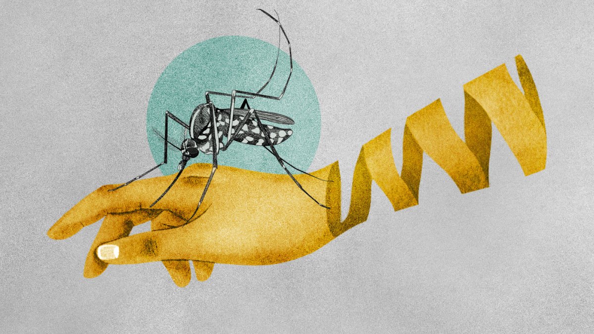 Illustration of a mosquito atop a human hand