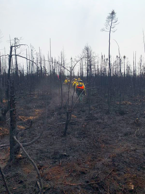 A line of firemen in yellow jackets walks through a charred landscape with twigs of trees.
