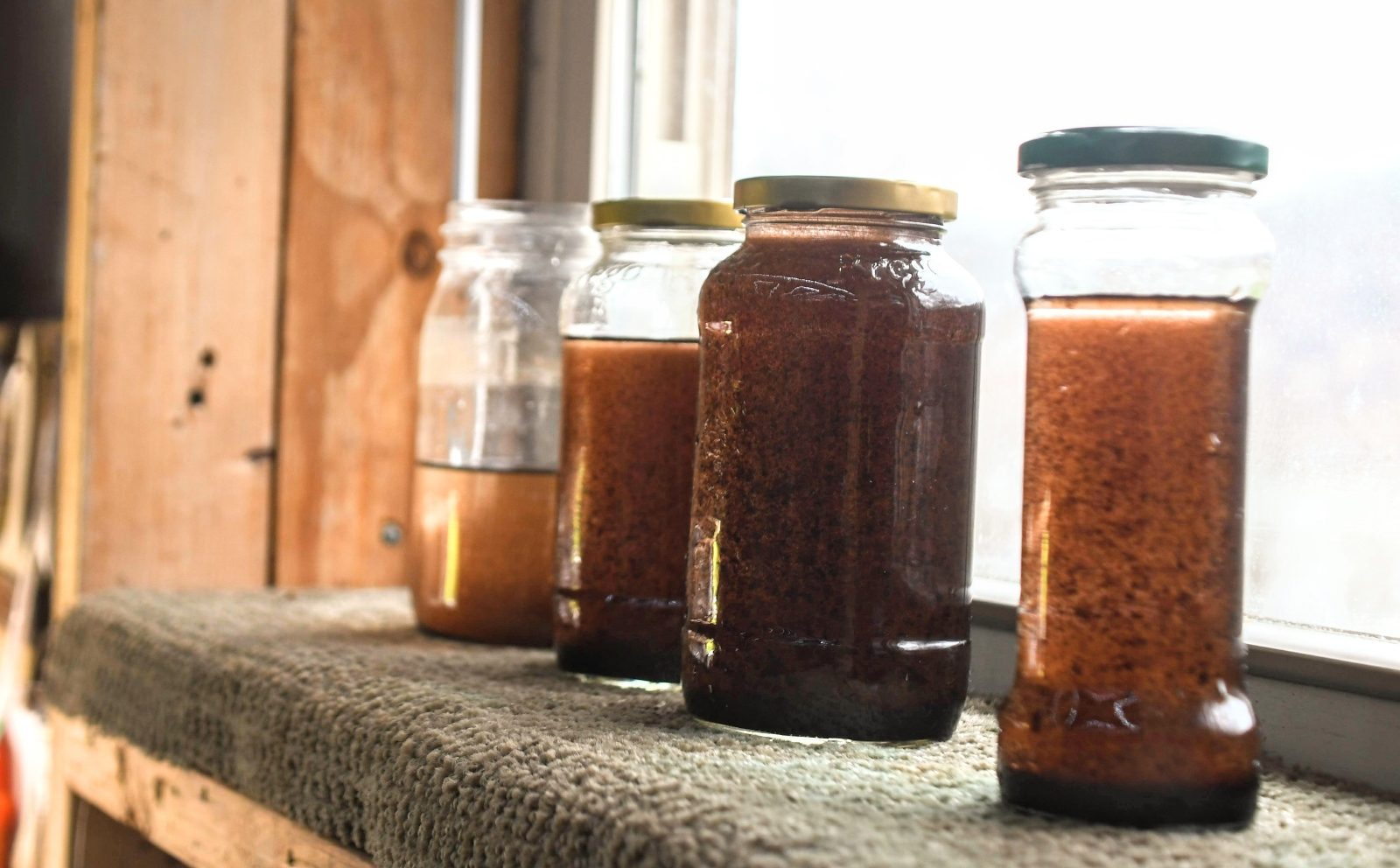 Four glass jars contain brown-colored water on a ledge.