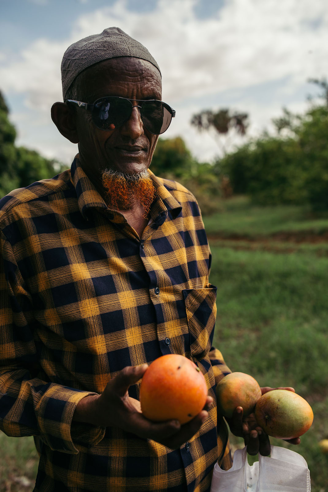 a man in a plaid shirt holds mangoes. He is wearing sunglasses
