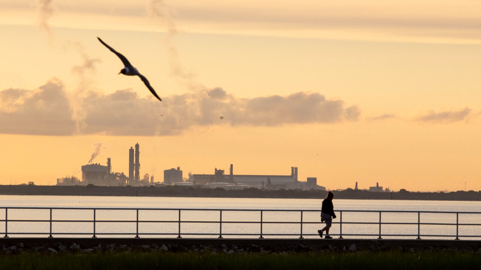 A view of a bay with a factory in the background against an orange sky, as a person walks on the water's edge and a bird flies above.