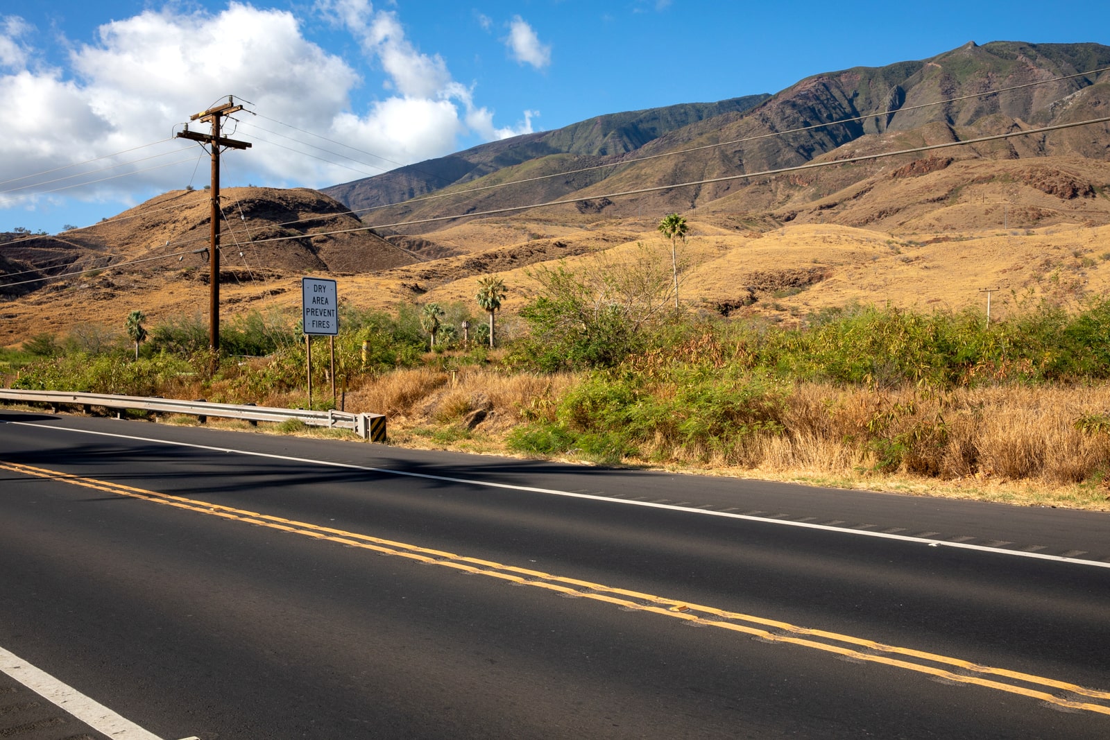 A downed power line hangs over grass on Maui.