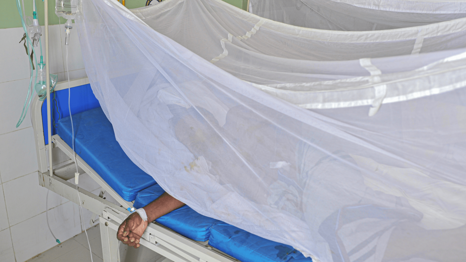Dengue patients, protected under mosquito nets, receiving treatment in Bangladesh.