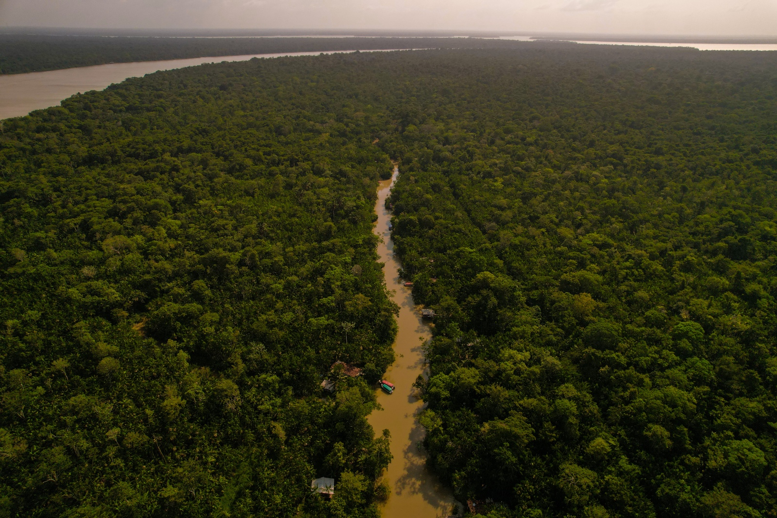 Aerial view of Guama River in the Amazon rainforest
