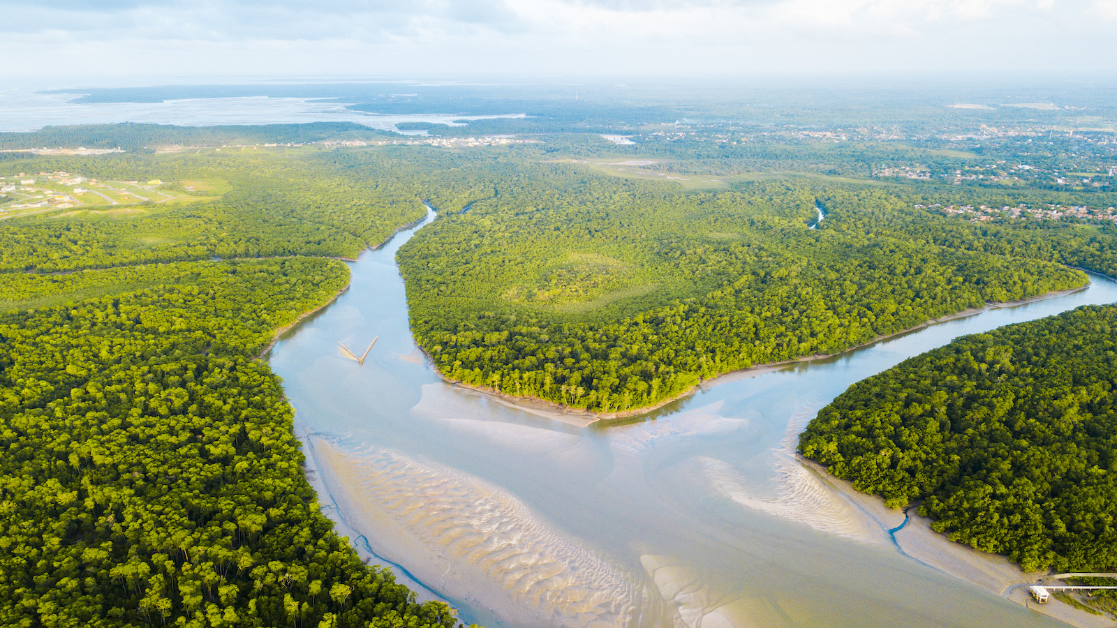 Aerial view of a river with forests
