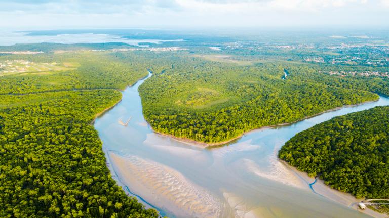 Aerial view of a river with forests