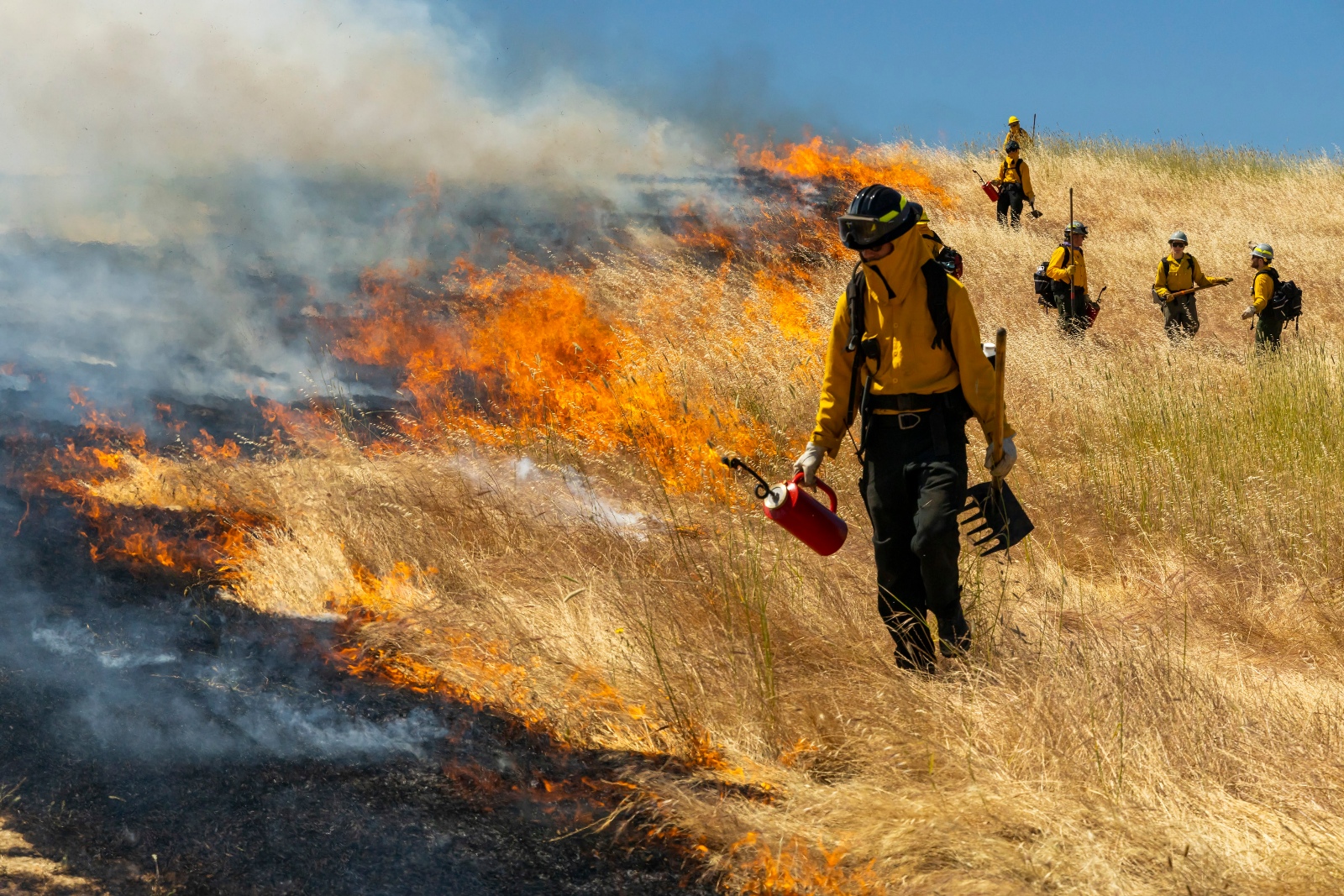 A prescribed fire professional igniting a cultural burn with a drip torch
