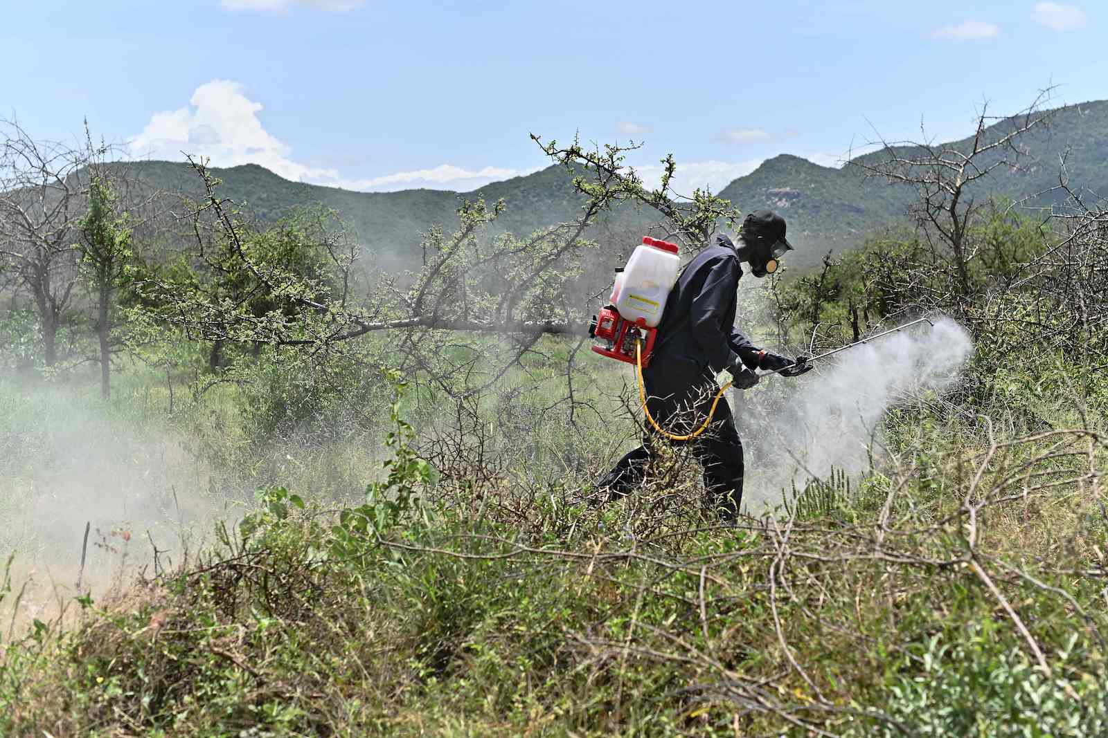 a person in protective gear sprays pestide while walking