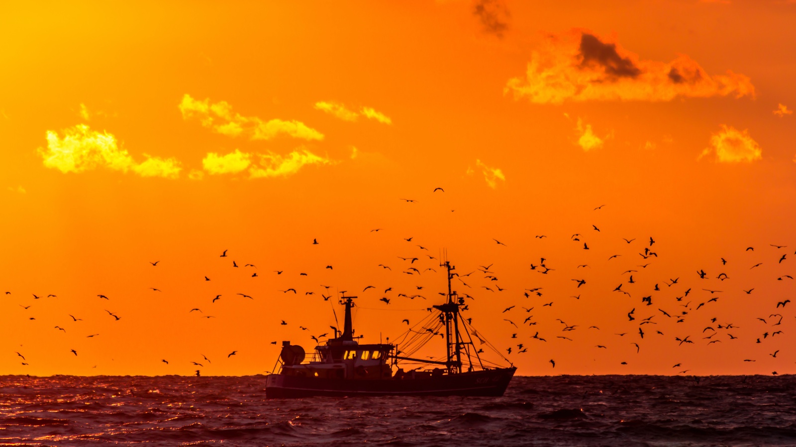 A fishing boat is surrounded by a flock of birds on the sea beneath an orange sky at sunset
