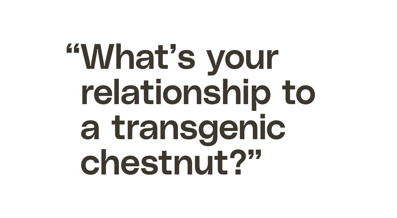"What's your relationship to a transgenic chestnut?"
