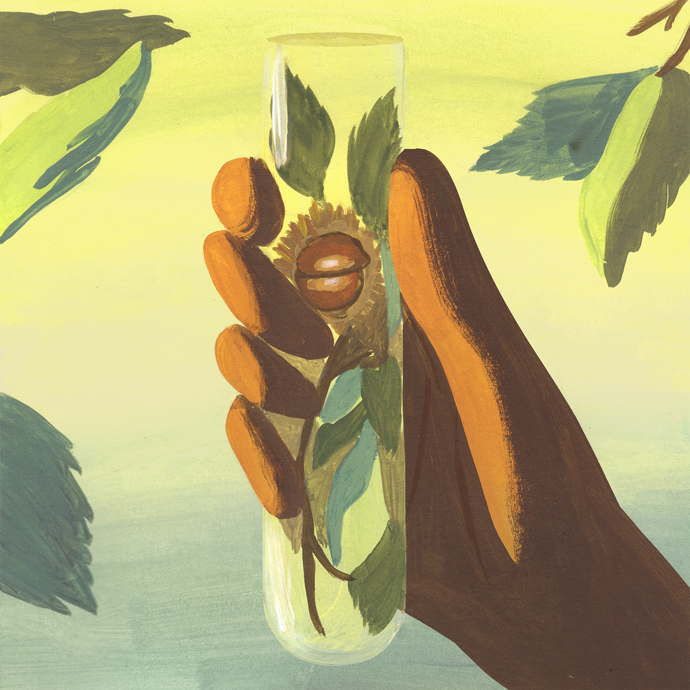 Illustration of test tube with American Chestnut branch growing inside
