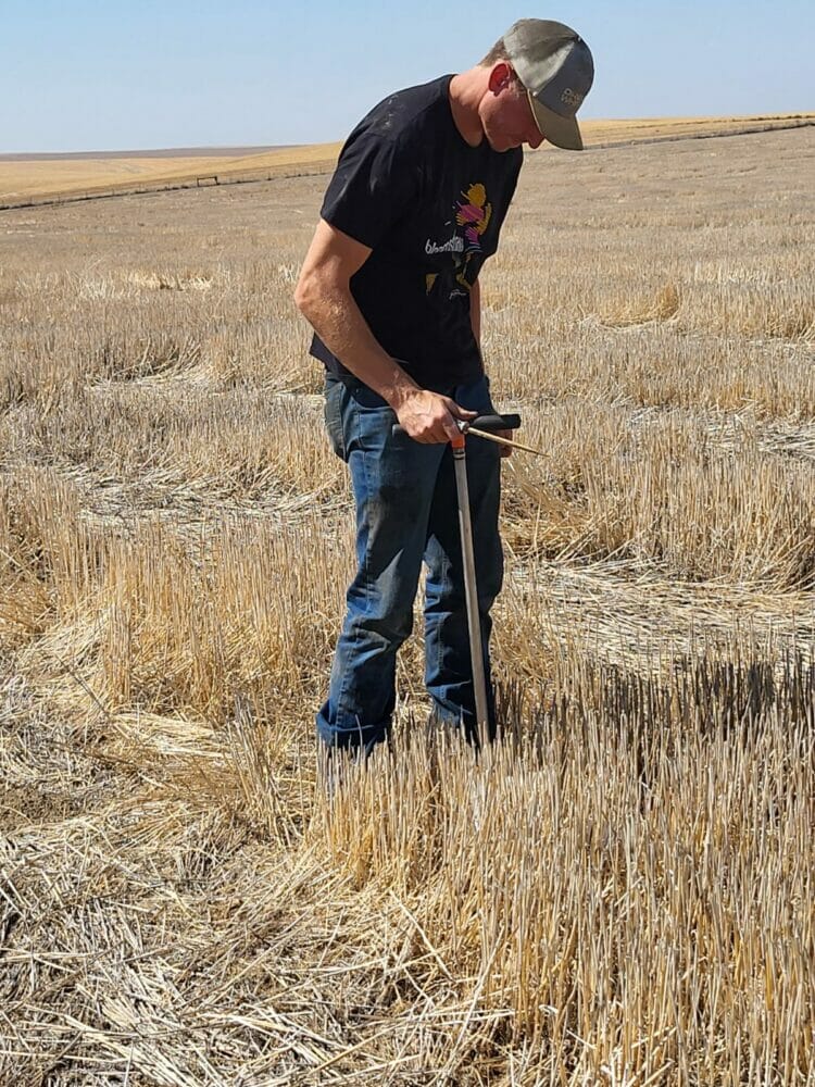 A man in a tee-shirt and jeans and a baseball cap sticks a metal rod into a field.