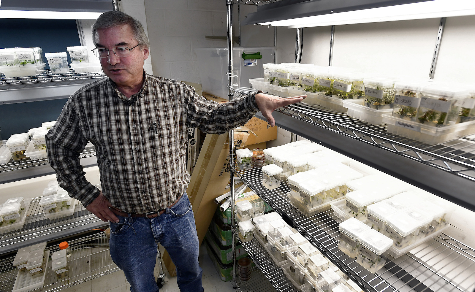 a man stands in a lab filled with seedlings